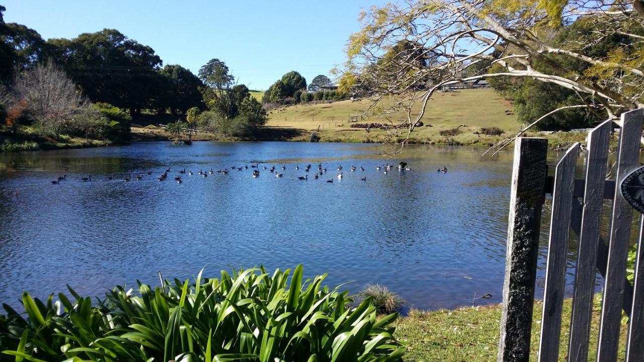Maleny Homestead & Cottage エクステリア 写真